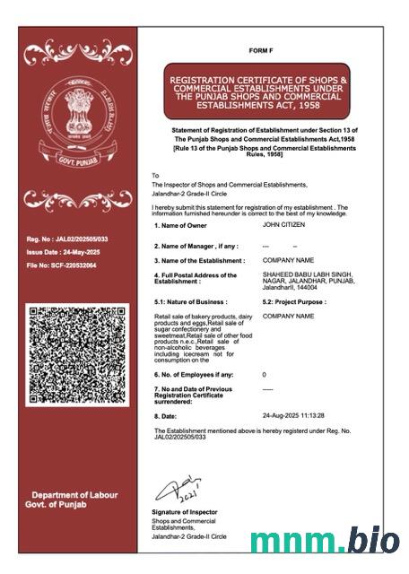India Punjab registration vcertyfikat Word i szablon PDF